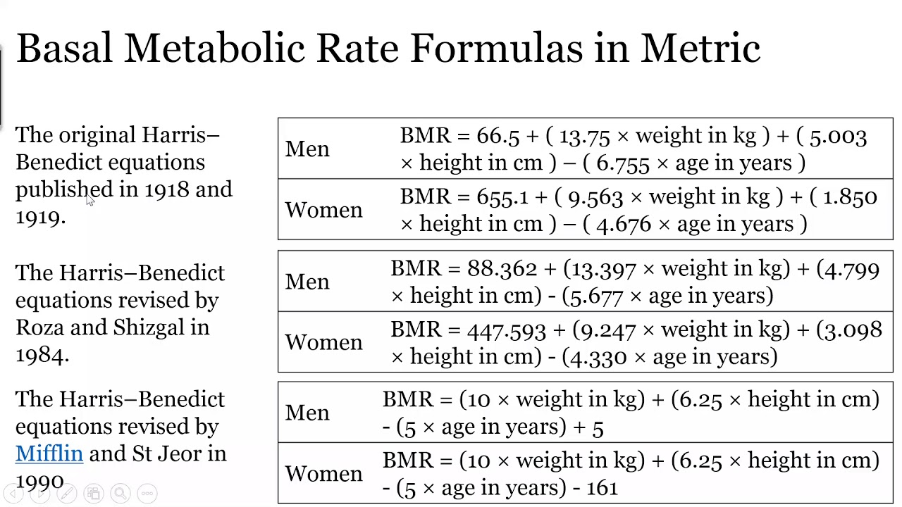 Basal Metabolic Rate BMR Calculation Example