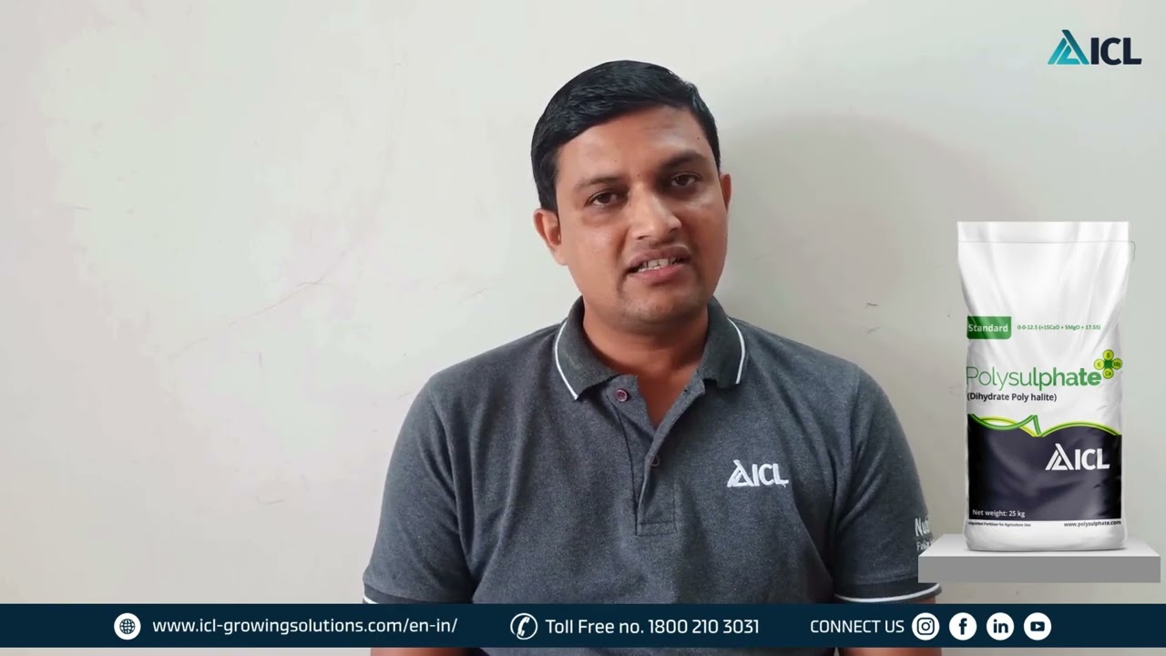 ICL Product Advice | Mr.Nilesh Nimse l Polysulphate | Marathi | ICL India