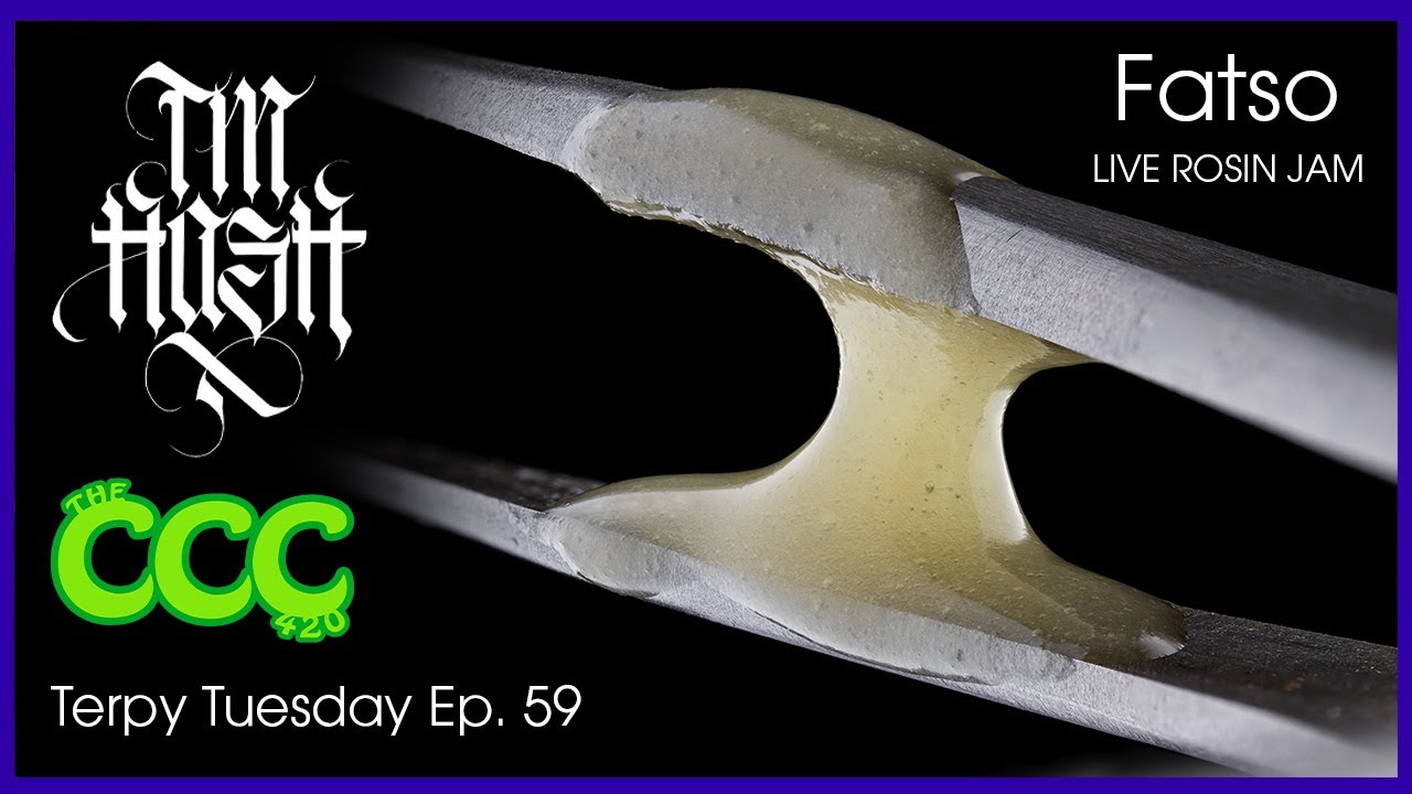 Terpy Tuesday Episode 59: T.M. Hash Fatso Live Rosin Jam