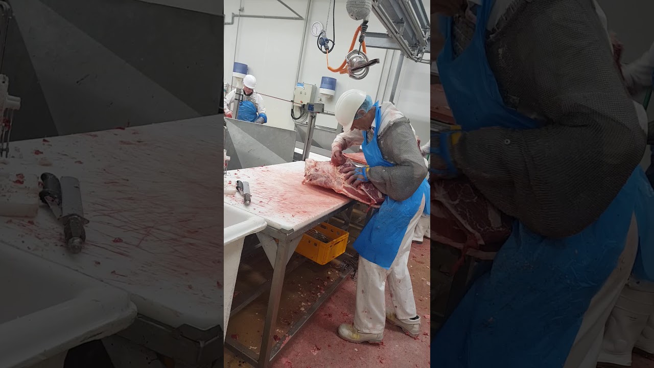 T&acirc;cheron desossage &eacute;paule de b&oelig;uf