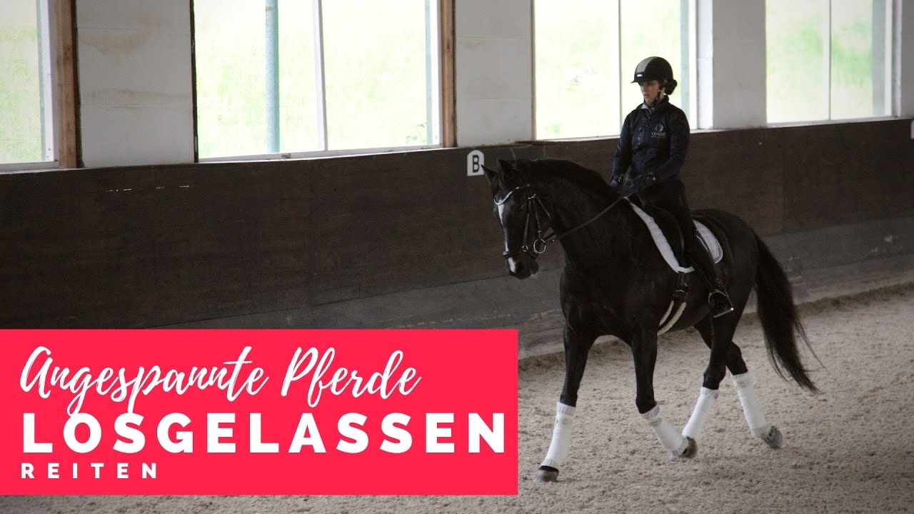 Besser reiten mit Christoph Ackermann | Aufgeregte