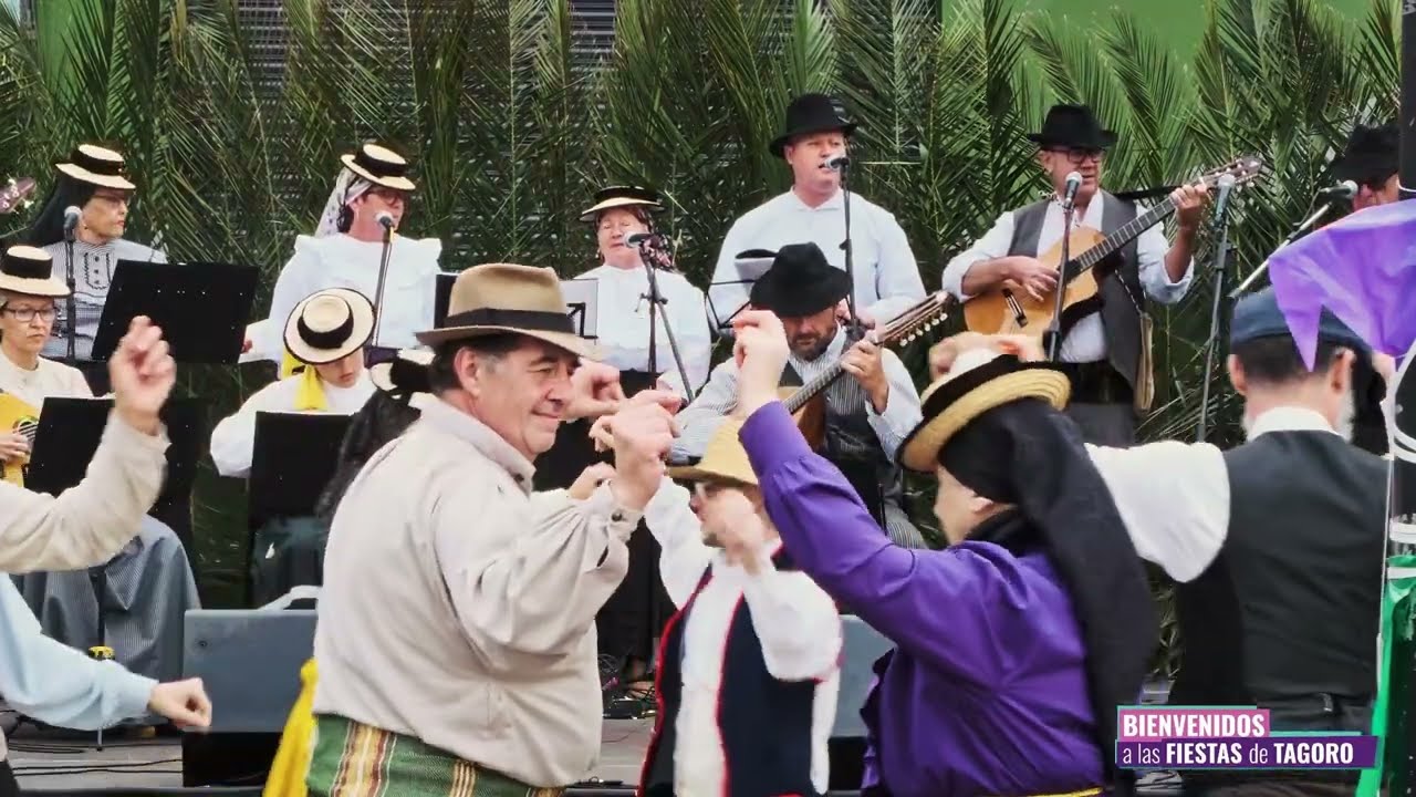 Folias de La Palma  -   A.F.  Los Aceviños.