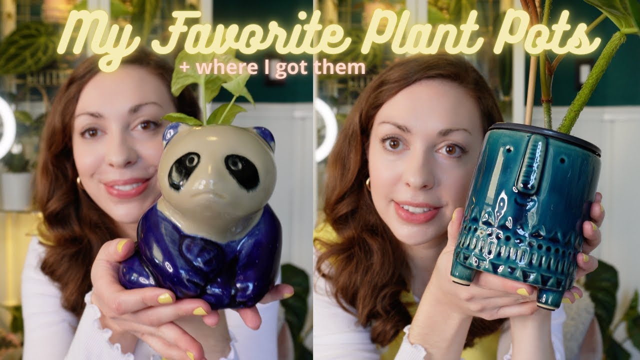 My Favorite Plant Pots & Where I Got Them