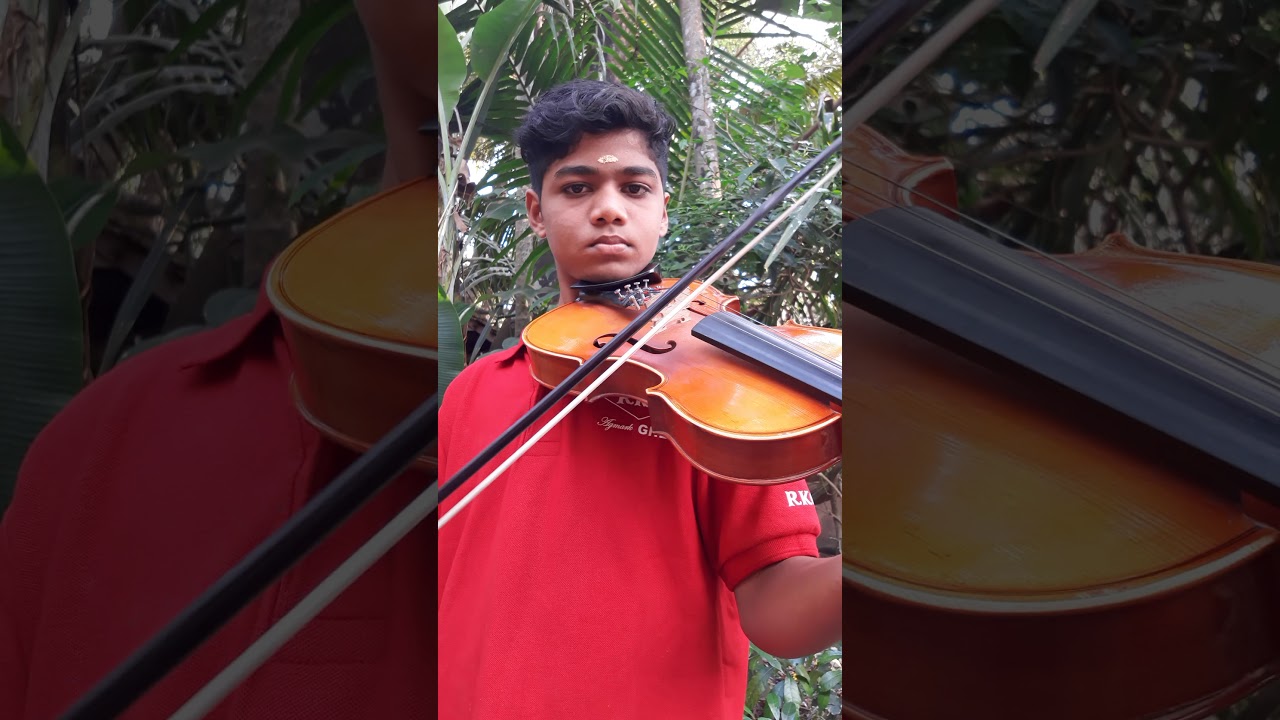 Chalakudi chandaku pokumbol violin solo Kumbalam Vaishnav Bhakthavalsalan  ph:9656882268
