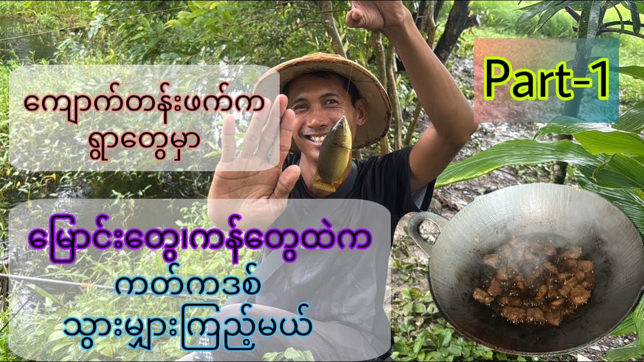 သံလျင်၊ ကျောက်တန်းဖက်က ကန်တွေ မြောင်းတွေမှာ ကတ်ကဒစ်လိုက်မျှားကြည့်မယ်။ Part-1 #vlogbykokyaw 