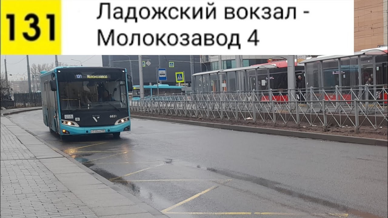 Автобус 131. Ладожский вокзал - Молокозавод