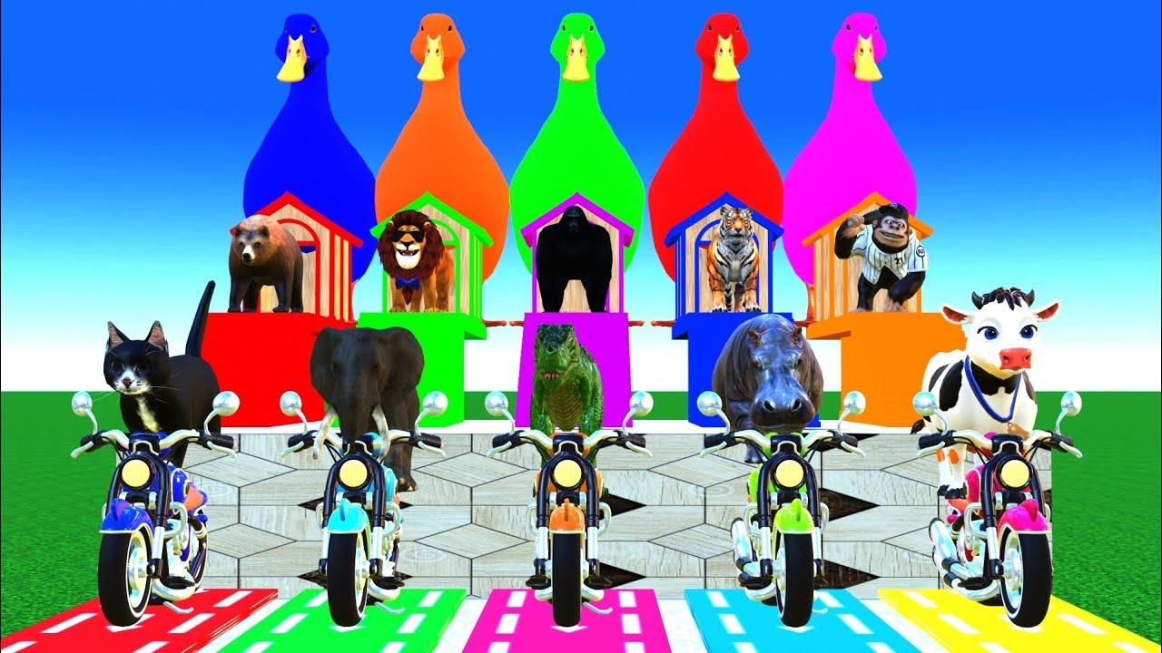 Long Slide Game 🎮 With Elephant 🐘 Gorilla 🦍 Lion 🦁 Cow Tiger 🐅 Hippo 🦛 Funny 3D Animals Game 