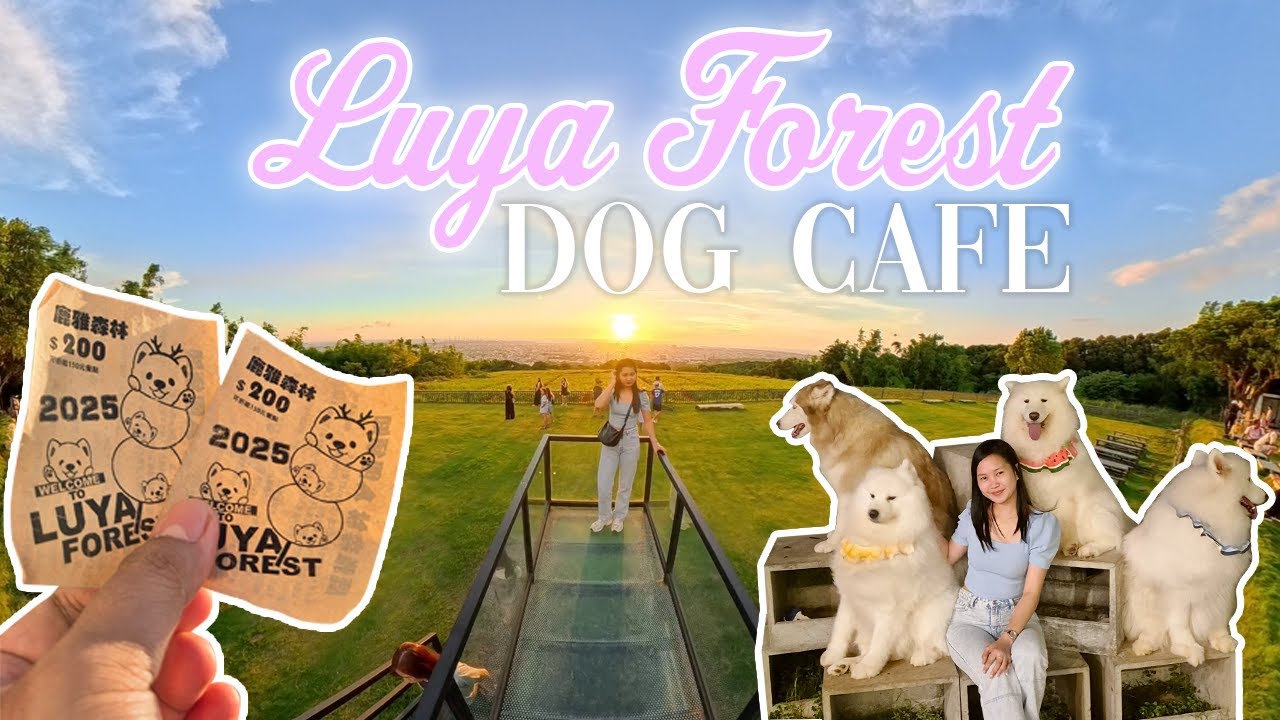 Luya Forest Dog Cafe | Taichung, Taiwan 