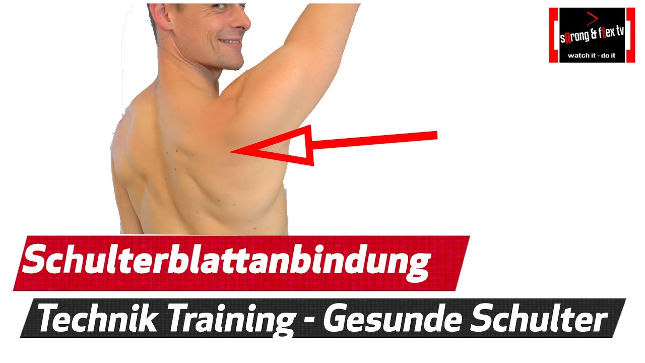 Das Geheimnis einer gesunden Schulter - Die Schulterblatt - Anbindung