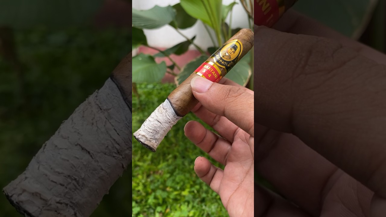 CERUTU KESUKAAN SULTAN JOGJA (Tarumartani) #cigars #shorts