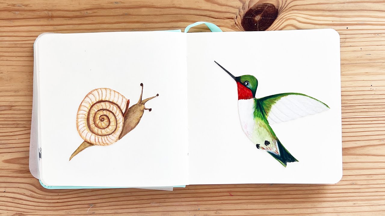 Sketchbook Tour: Look Inside My 24th Finished Sketchbook