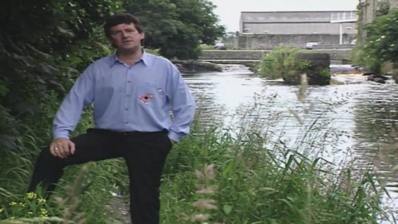Mick Flavin - Longford On My Mind