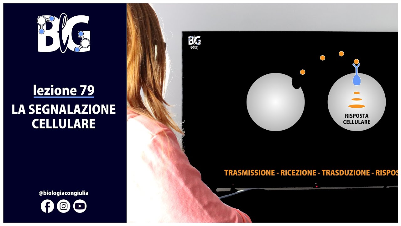 La SEGNALAZIONE CELLULARE
