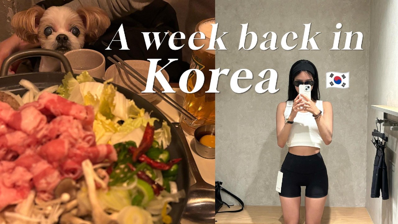 비빔밥 먹으러 한국 다녀왔어요🇰🇷 | 시드니 유학생 브이로그🇦🇺 | 포포인츠 쉐라톤