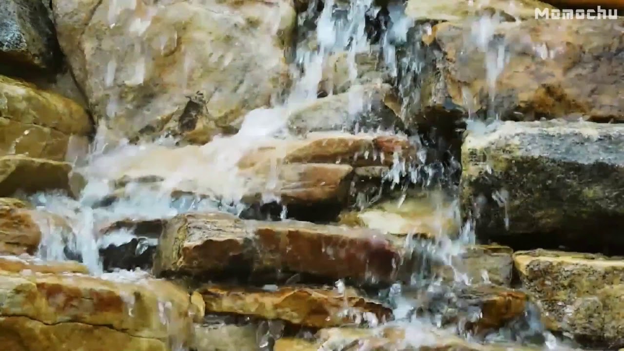 【白噪音】