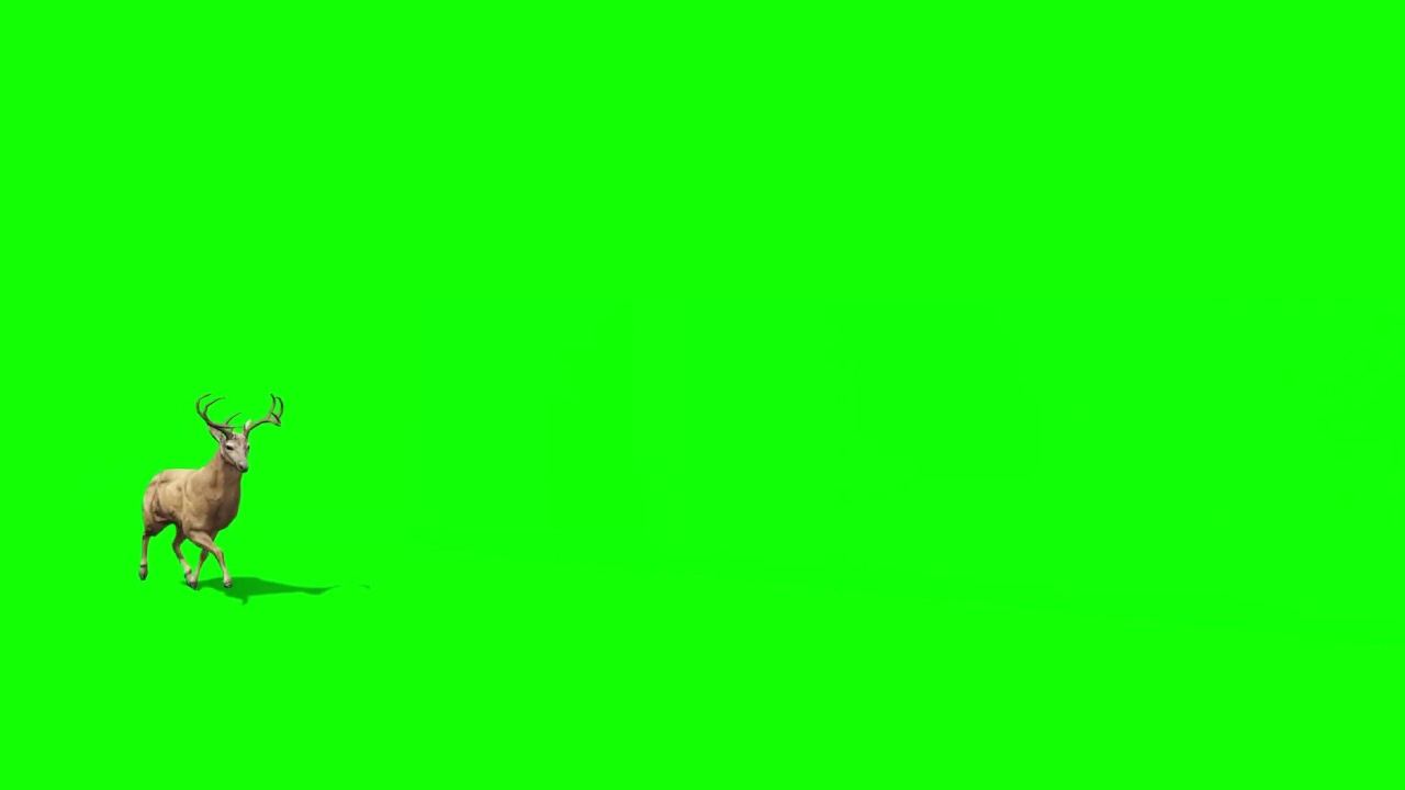 The Deer Green Screen Effect Pack Free to Use