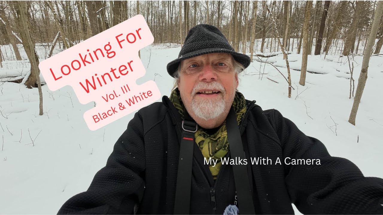 Looking For Winter Vol  III