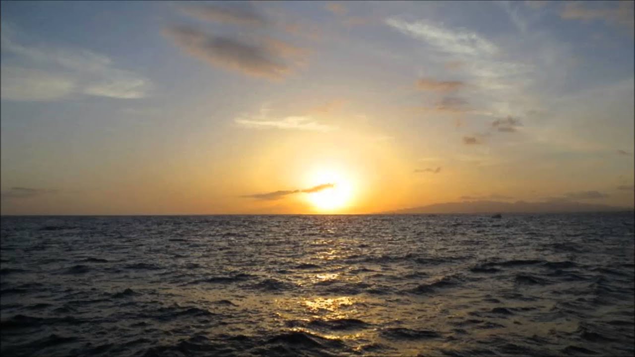 J.シュトラウス2世: ポルカ｢観光列車｣［ナクソス・クラシック・キュレーション #特別編：ニューイヤー］