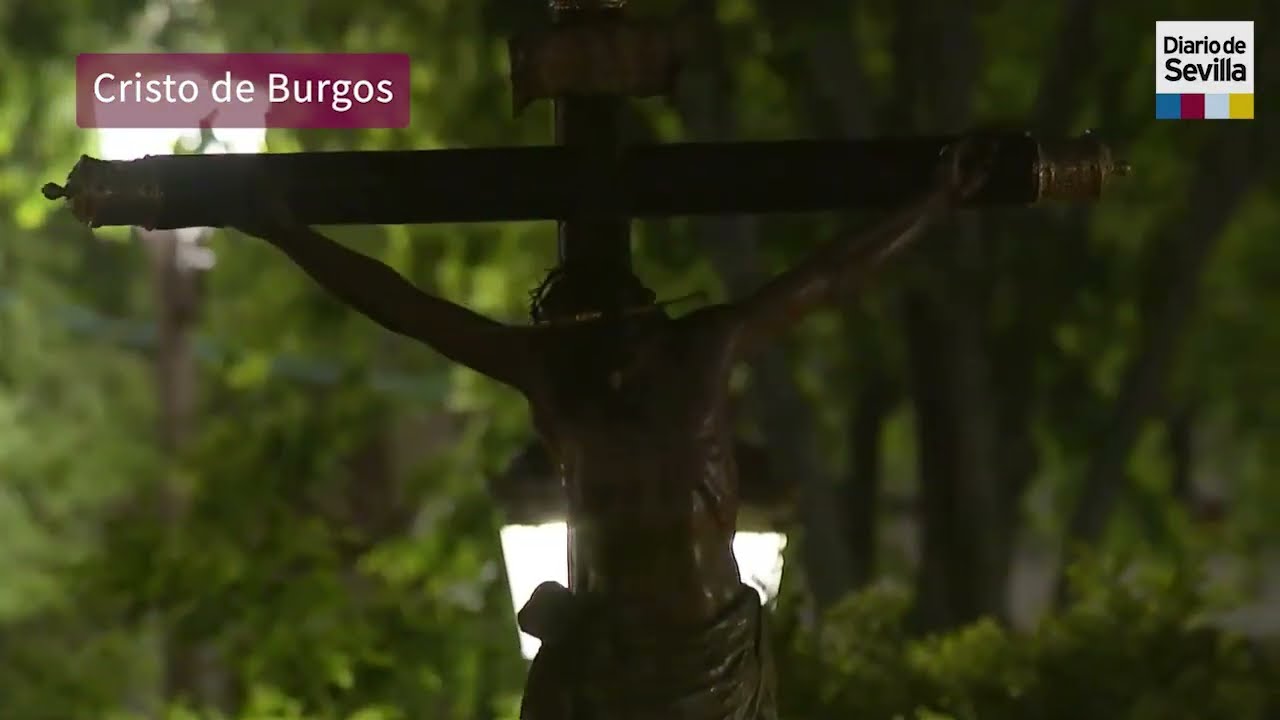 Hermandad del Cristo de Burgos por la Campana | Semana Santa de Sevilla 2025