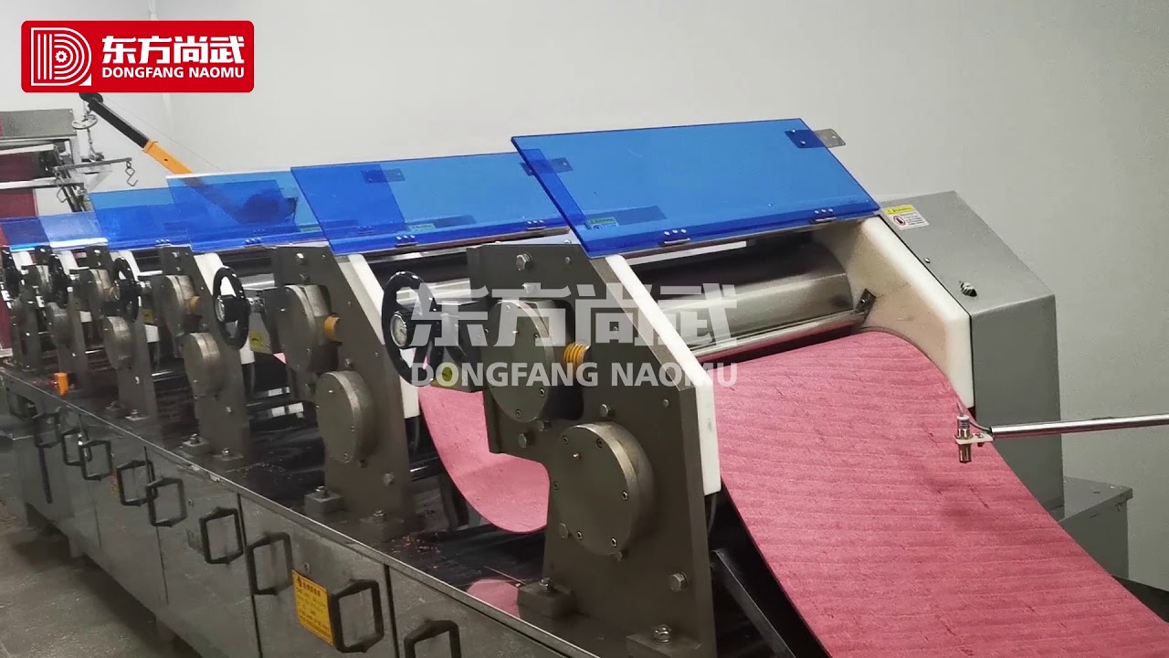 Fruit and vegetable noodles production line - dragon fruit noodles - kiwi noodles video-DFSW