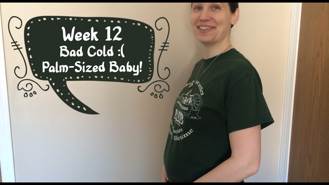 Week 12 Pregnancy VLOG