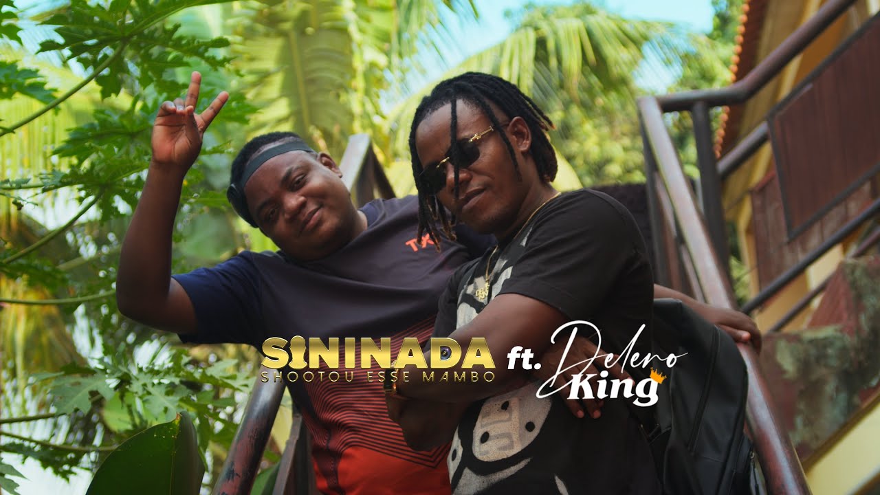 Sininada ft. Delero King - Deixa a vida me levar (Visualizer)