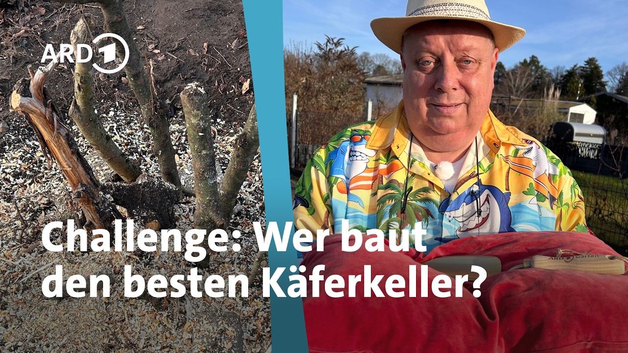 Garten-Challenge: Einen Käferkeller bauen | MDR Garten