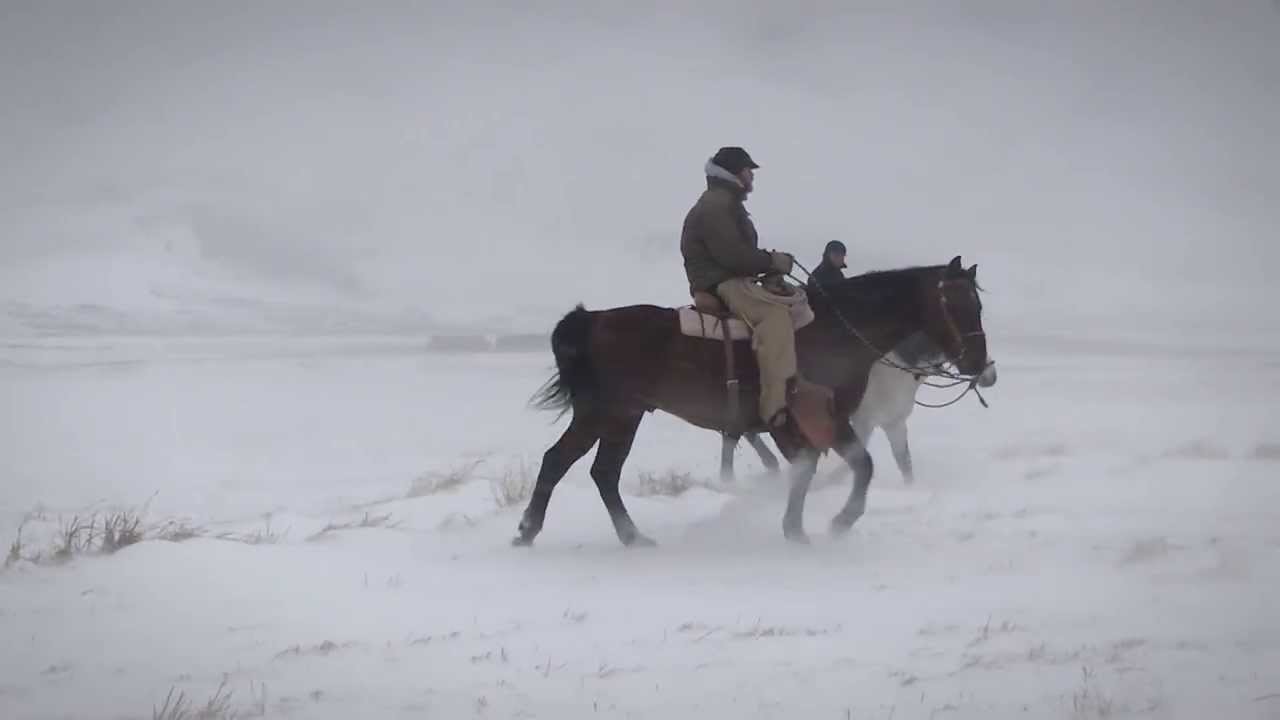 I Am Angus: Castle Mountain Ranch, White Sulphur Springs, Mont.