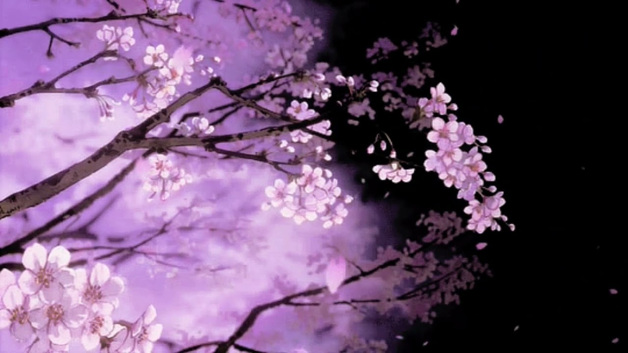 Passage (music) [San Valentín] [2026]