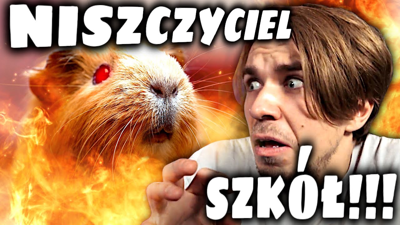 SZKOŁA - ZAGINIONA ŚWINKA MORSKA😭😫