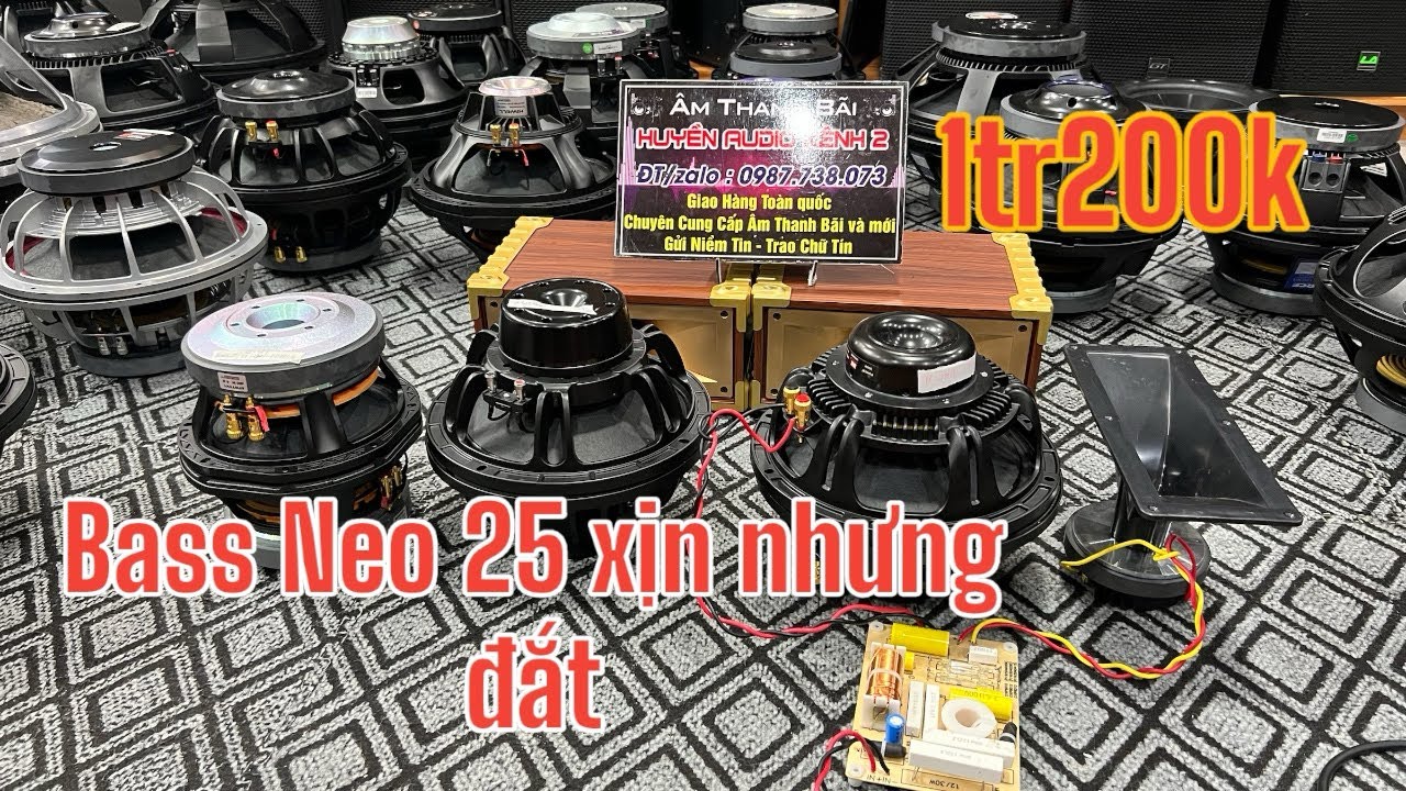 Loa bass neo NR 25 10ND680 Si&ecirc;u hiếm h&agrave;ng chất LH:0988.583.183