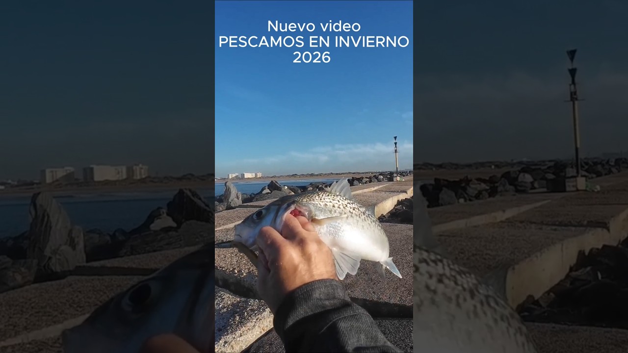 Зимняя рыбалка 2026 #рыбалка #спиннинг