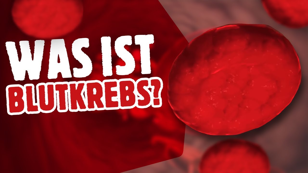 Was ist Blutkrebs? | DKMS Deutschland