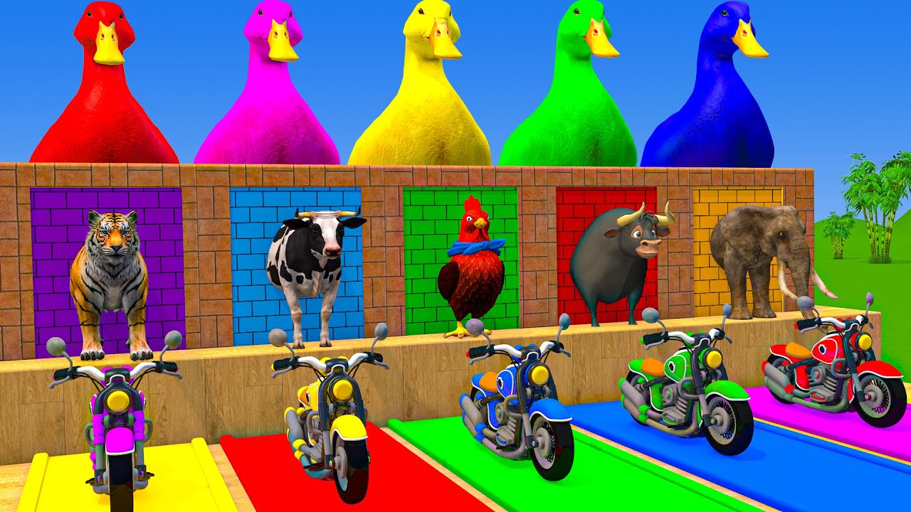 Long Slide Game With Cow Elephant Gorilla Hippopotamus Tiger 3d Animal Game Funny 3d Animals
