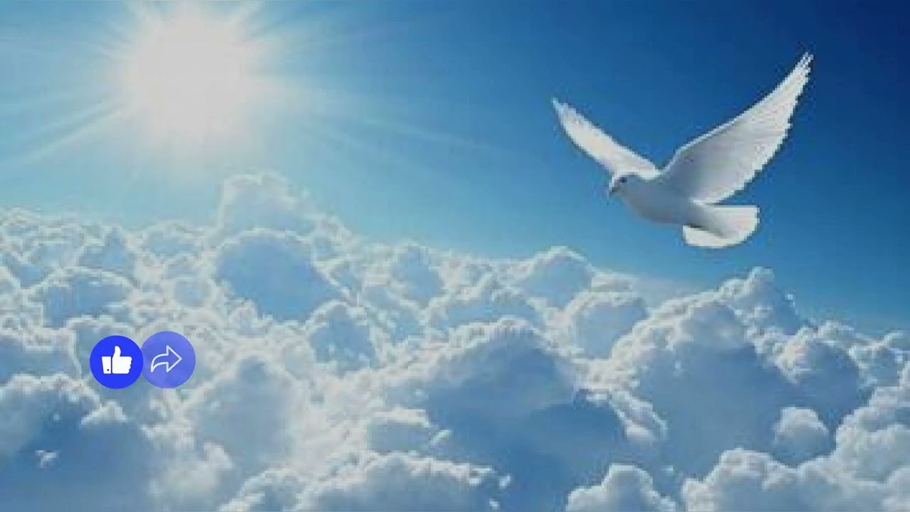ESatoshi _ Espoir (Lyrics Official)