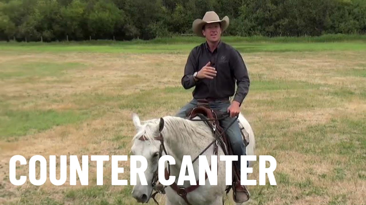 All about the Counter Canter!