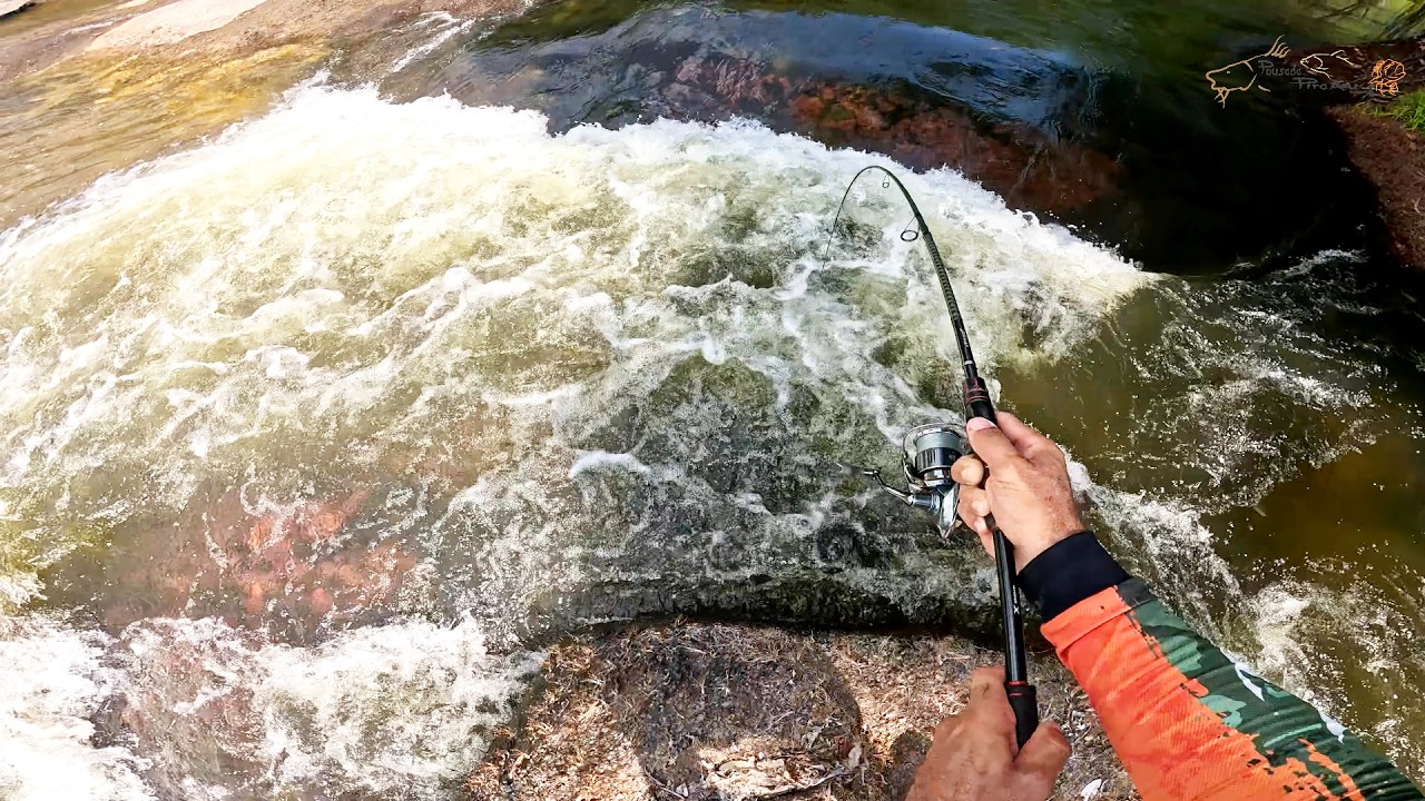Ninguém acredita no que pode sair dessas pedras!