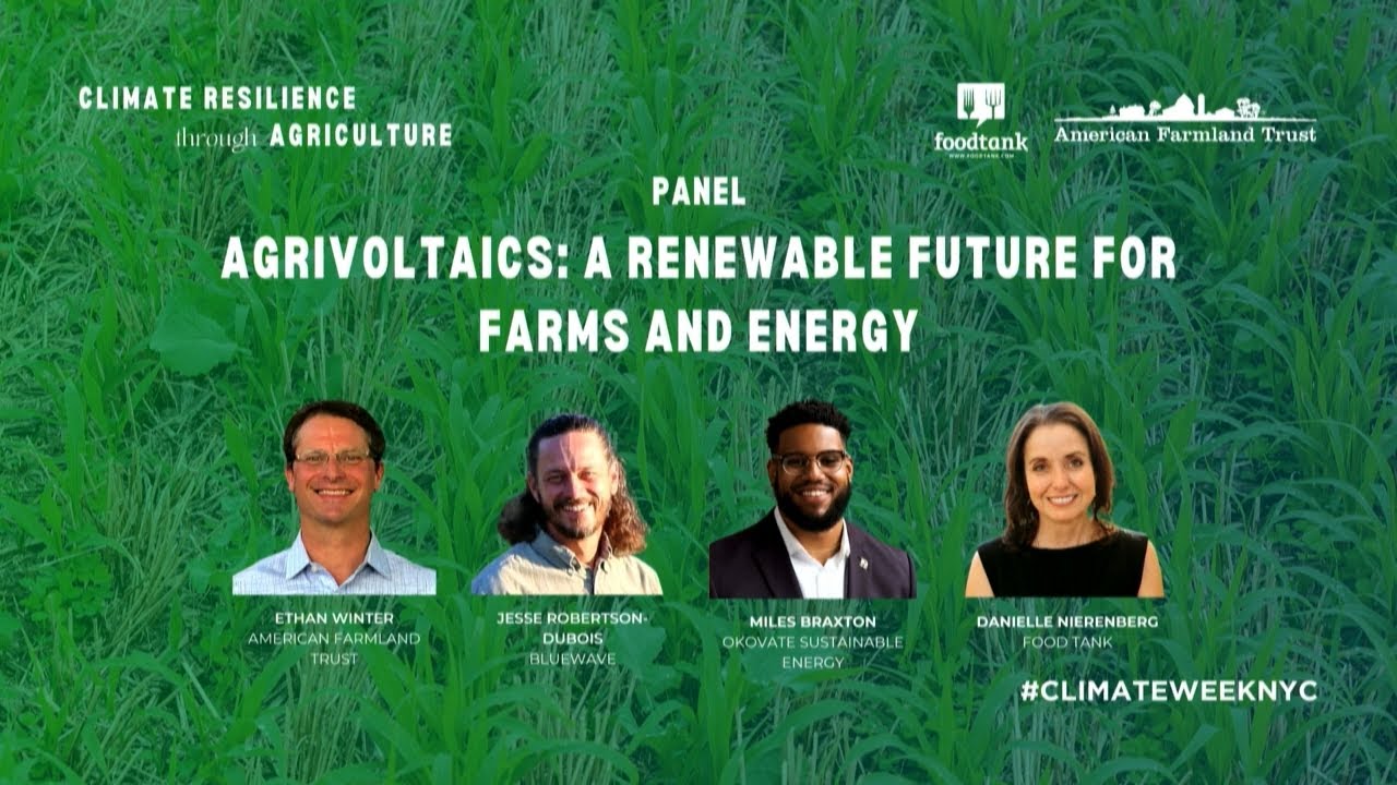 Agrivoltaics: A Renewable Future for Farms and Energy