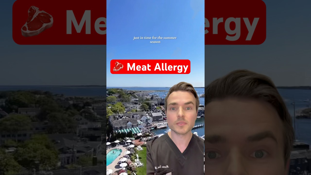 Red meat allergy: when a tick bite rewires your immune system 🥩🚫