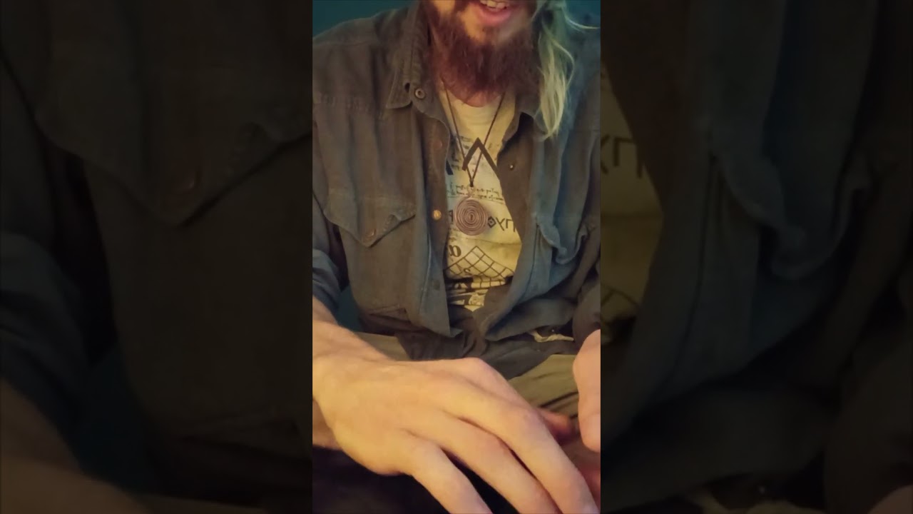 Zurück aus dem Tierheim 