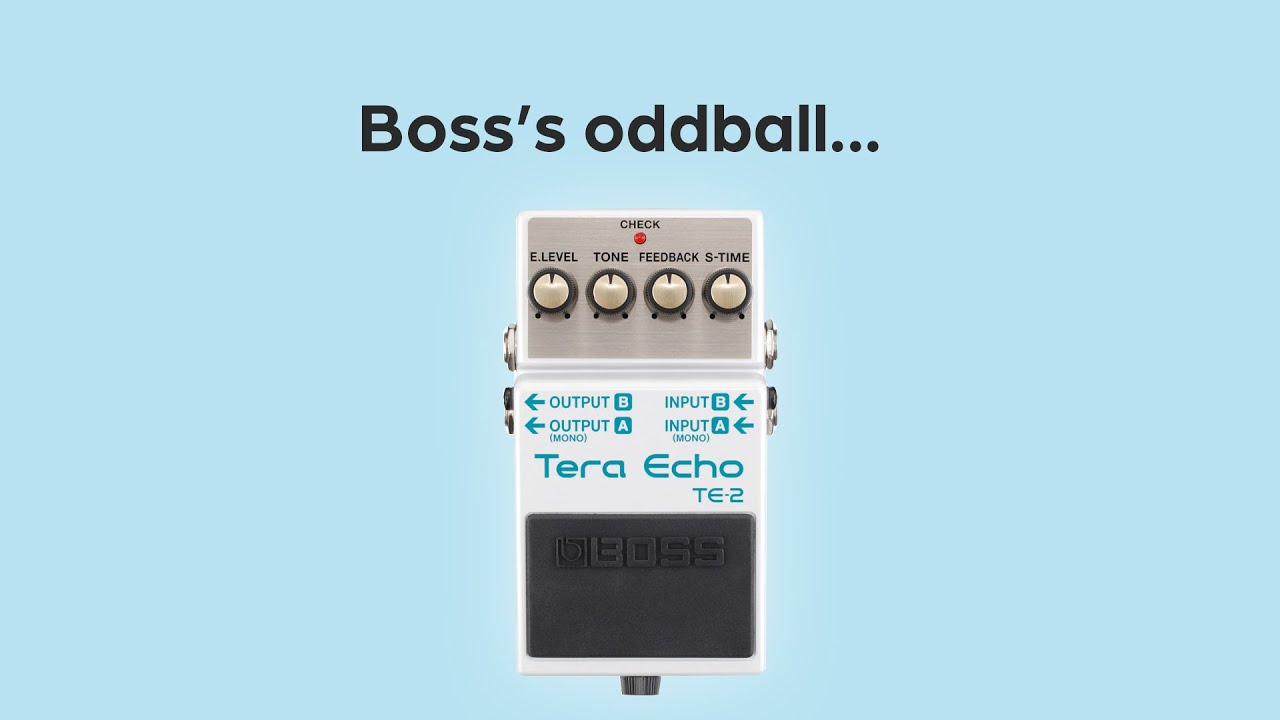 The BOSS Oddball • Tera Echo TE-2 #boss #delay #guitar