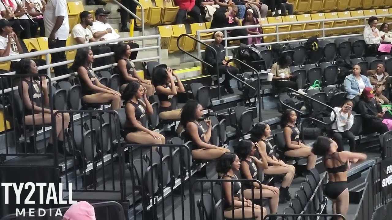 ASU Stingettes 2026 (basketball) - My My My (MSVU) 