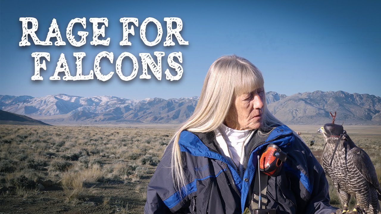 Rage for Falcons | Episode 5: Sky Trials
