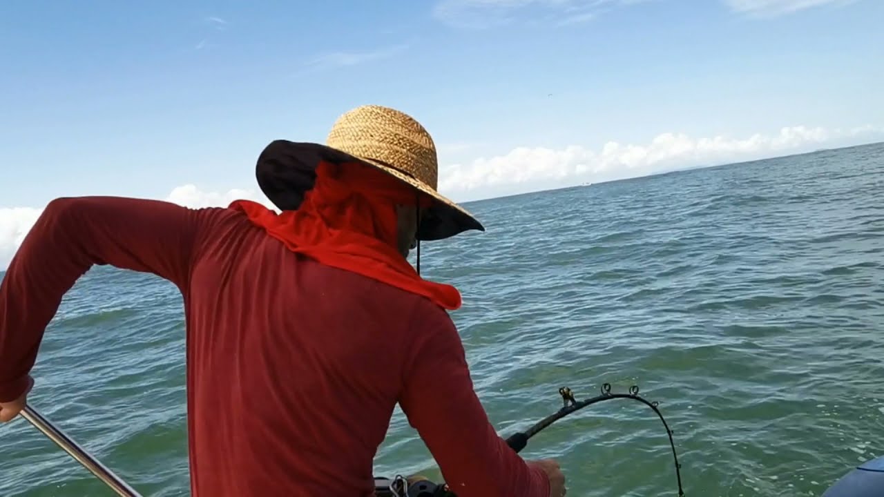 EPIC GAME  Battures / Guyane Fran&ccedil;aise / Requin Marteau