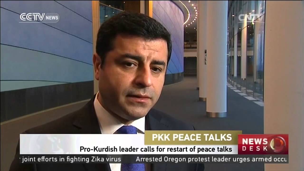 Pro-Kurdish leader calls for restart of peace talks