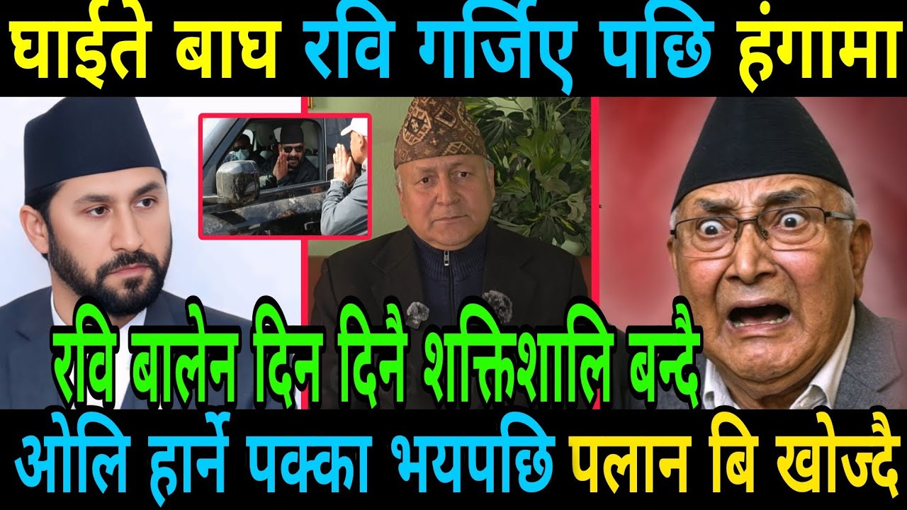 घाईते बाघ रवि गर्जिए पछि हंगामा ओलि हार्ने पक्का भयपछि पलान बि खोज्दै ओलि Rabi Lamichhane And Balen