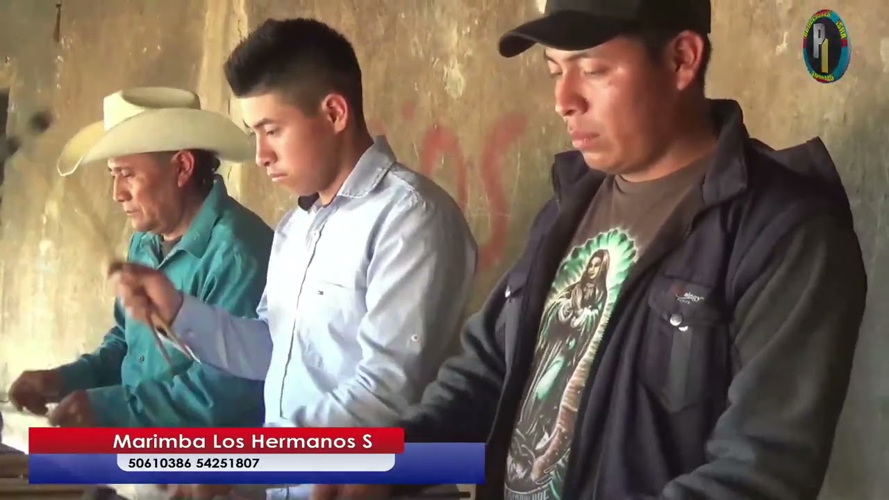 25 Marimba Los Hermanos Seperinos