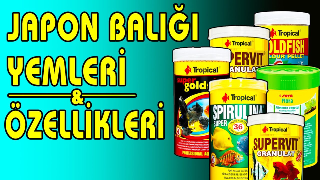 Bu Yemler Balıklarınızı Renklendirir!  - Japon Balığı Yemleri - Hangi Yemler Verilir?