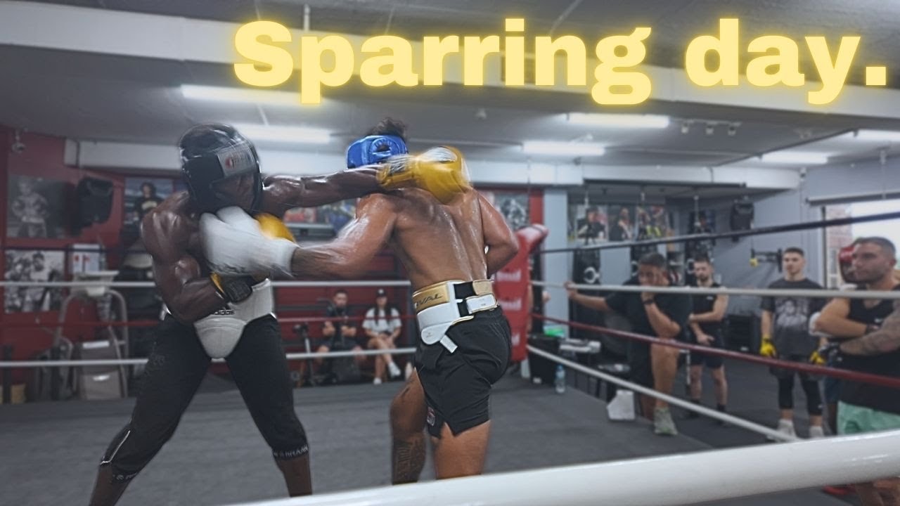 Sparring Day.. (Training camp vlog)