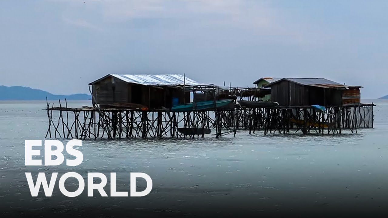 A small village on the sea Bajau of MalaysiaㅣExploring the Origin of Humanity